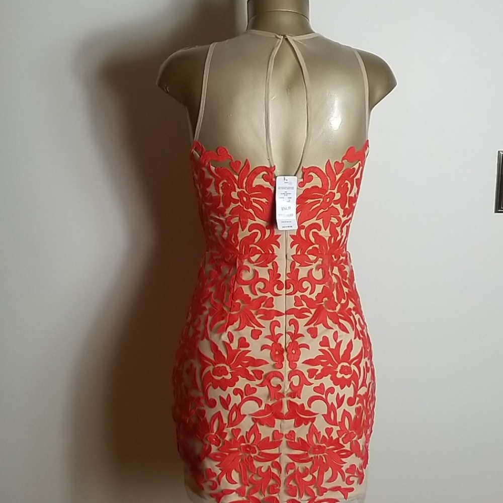 Bebe Rosa Embroidered Laced Sheer Dress - Picture 3 of 6